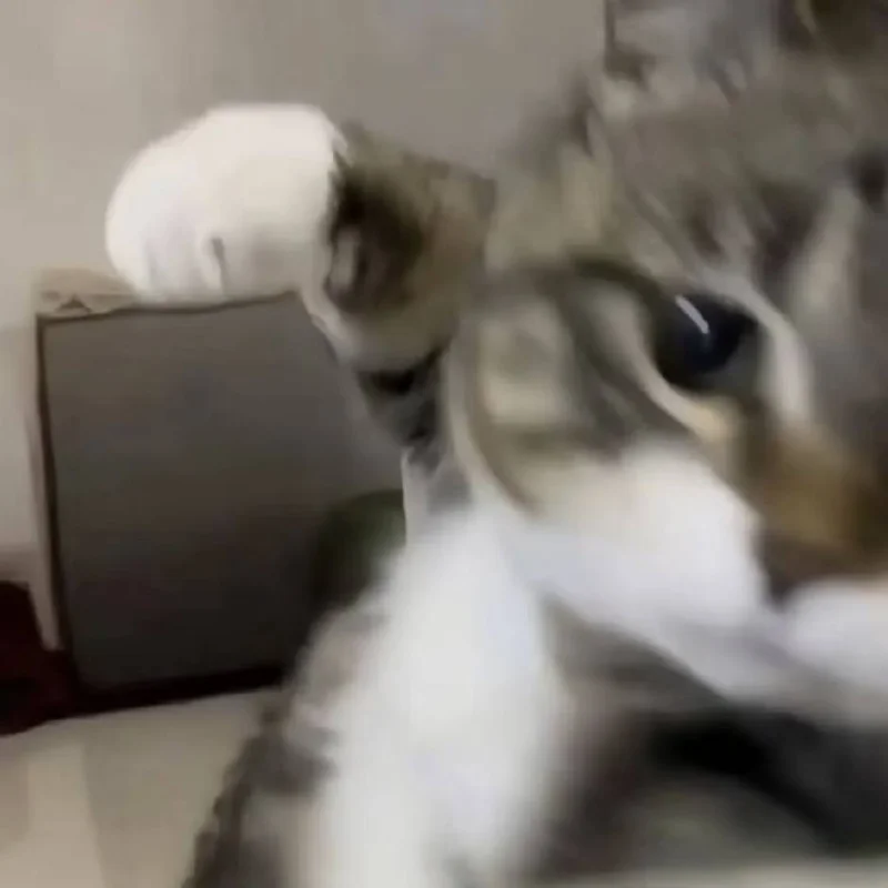 李虹佑